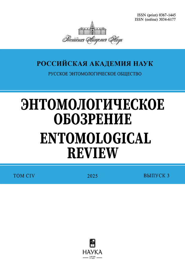 Бет Тақырыбының Логотипі